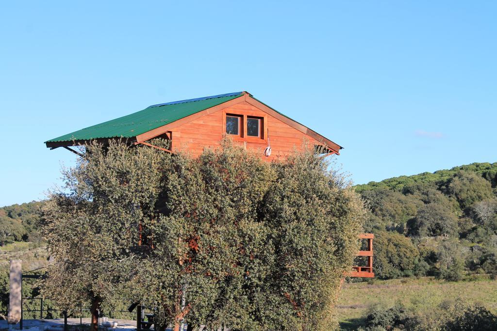 Maison d'hôtes Cabana El Mirador à Pedroso de Acim Extérieur photo